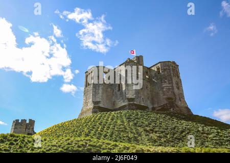 Warkworth Castle in Springtime, Northumberland Stockfoto