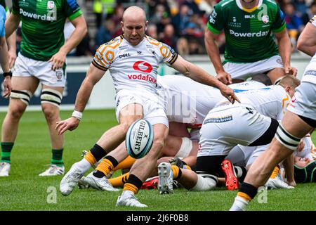 LONDON, Großbritannien. 01.. Mai 2022. Dan Robson von Wesps in Aktion während der Gallagher Premiership Rugby Match Runde 24 - London Irish vs Wesps im Community Stadium am Sonntag, 01. Mai 2022. LONDON, ENGLAND. Kredit: Taka G Wu/Alamy Live Nachrichten Stockfoto