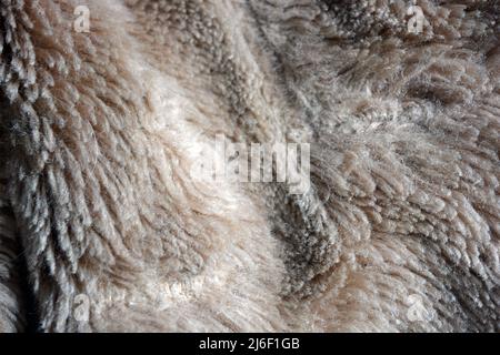 Synthetisches braunes Material in Form von Naturwolle, natürliches, teures Naturpelz. Ungewöhnlicher beigefarbener, fleischfarbener Pelzhintergrund. Stockfoto