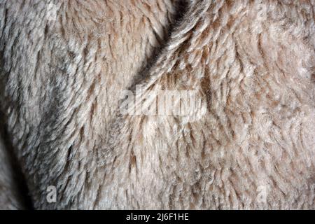 Synthetisches braunes Material in Form von Naturwolle, natürliches, teures Naturpelz. Ungewöhnlicher beigefarbener, fleischfarbener Pelzhintergrund. Stockfoto