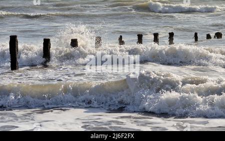 Raues Meer und verfallene Groynes am Strand von Teignmouth, South Devon. Stockfoto