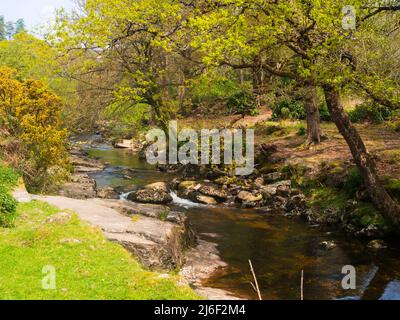 Frühlingsansicht des Flusses Avon, Dartmoor, Devon, Großbritannien auf dem Abschnitt zwischen der Shipley Bridge und dem Avon-Staudamm Stockfoto