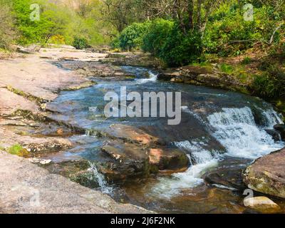 Frühlingsansicht des Flusses Avon, Dartmoor, Devon, Großbritannien auf dem Abschnitt zwischen der Shipley Bridge und dem Avon-Staudamm Stockfoto