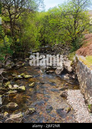 Frühlingsansicht des Flusses Avon, Dartmoor, Devon, Großbritannien auf dem Abschnitt zwischen der Shipley Bridge und dem Avon-Staudamm Stockfoto