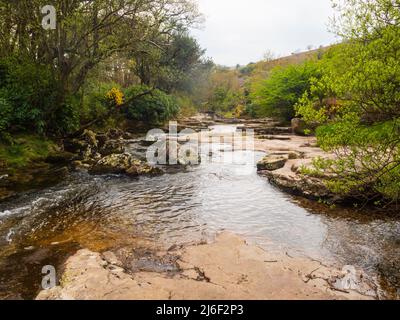 Frühlingsansicht des Flusses Avon, Dartmoor, Devon, Großbritannien auf dem Abschnitt zwischen der Shipley Bridge und dem Avon-Staudamm Stockfoto