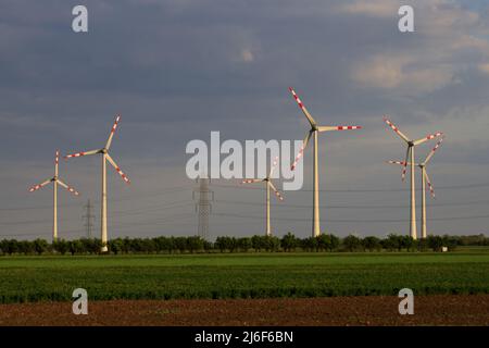 Landschaft Mit Windmühlen In Österreich Stockfoto