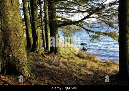 Glen Afton - Schottland Stockfoto