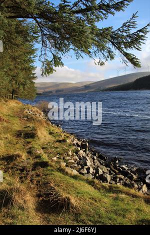 Glen Afton - Schottland Stockfoto