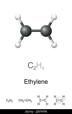 Ethylen, Ethylen, Ball-and-Stick-Modell, molekulare und chemische Formel. Einfachste Alkene. Weltweit am meisten produzierte organische Verbindungen in der chemischen Industrie. Stockfoto