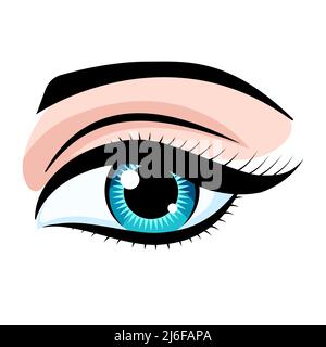 Schönes großes Auge einer Frau mit langen Wimpern. Make-up, braune kosmetische Schatten. Schönheit, Bild, Schönheit. Damenstyle. Blaue Augen. Vektorgrafik. Stock Vektor