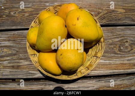 Leckere indische Mangos im Korb. Badami Mangofrucht süß im Geschmack auch bekannt als Karnataka Alphonso. Mango aus Indien im Korb auf Holzhintergrund Stockfoto