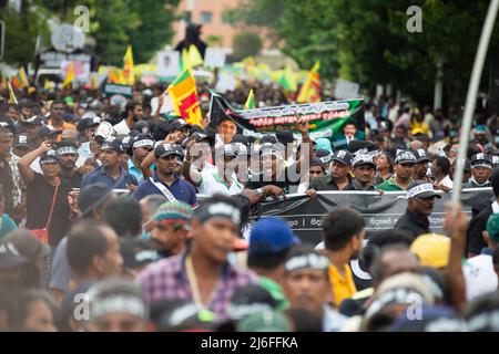 Colombo, Sri Lanka. 01.. Mai 2022. Aktivisten und Anhänger der wichtigsten oppositionellen Samagi Jana Balaugaya-Partei Sri Lankas nehmen am 1. Mai 2022 an einer Kundgebung zum 1. Mai in Colombo Teil. (Foto von Vimukthy Embuldeniya/Pacific Press) Quelle: Pacific Press Media Production Corp./Alamy Live News Stockfoto