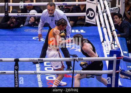 Katie Taylor aus Irland in schwarzen Kämpfen Amanda Serrano aus Purto Rico (lebt derzeit in Brooklyn, NY) in orangefarbener Spitze für die unangefochtene Leichtbau-Weltmeisterschaft bei der MSG. Katie Taylor gewann durch eine getrennte Entscheidung der Richter. (Foto von Lev Radin/Pacific Press) Stockfoto