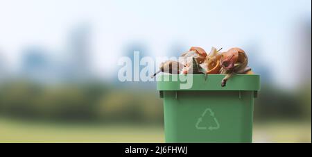 Mülltonne voller organischer Abfälle, Recycling und getrenntem Abfallsammelkonzept Stockfoto