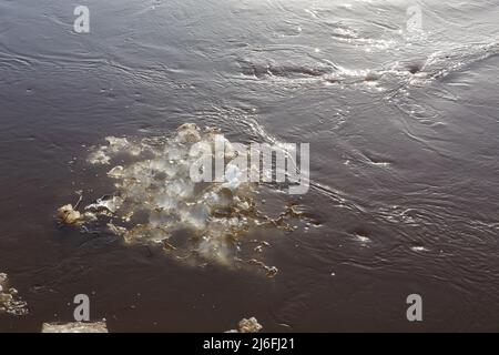 Eisscholle schwimmt im Wasser. Frühlingsflut Stockfoto