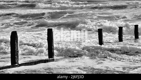 Raues Meer und verfallene Groynes am Strand von Teignmouth, South Devon. Stockfoto