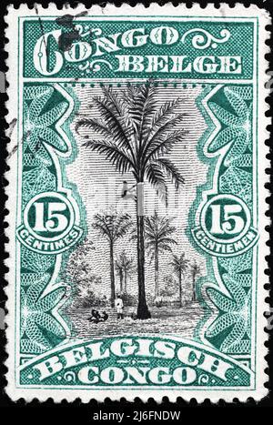 Schöne Vintage-Briefmarke aus dem belgischen Kongo mit einer Palme Stockfoto