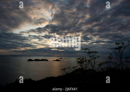 Eindringliche Abendstimmung bei der Ile Besnard im Norden der Bretagne Stockfoto