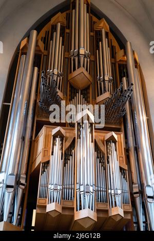 Hallgrimskirkja, eine Wahrzeichen-Kirche, in Reykjavík, Island, an einem bewölkten Morgen. Stockfoto