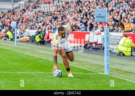 LONDON, GROSSBRITANNIEN. 01., Mai 2022. Zach Kibirige von Wesps während der Gallagher Premiership Rugby Match Runde 24 - London Irish vs Wesps im Community Stadium am Sonntag, 01. Mai 2022. LONDON, ENGLAND. Kredit: Taka G Wu/Alamy Live Nachrichten Stockfoto