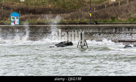 Die Gezeitenglocke in Cemaes Bay, Anglesey, North Wales, Großbritannien. Aufgenommen am 4.. April 2022. Stockfoto