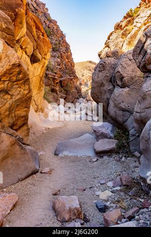 Wanderung durch den Canyon in Richtung Upper Burro Mesa Pouroff im Big Bend National Park Stockfoto