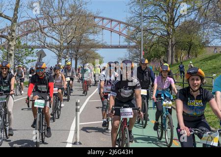 Der Astoria Park ist voll mit Fahrrädern, während Radfahrer bei der jährlichen fünf-Städte-Radtour in New York City ihre Räder drehen. Tausende von Radfahrern aller Schwierigkeitsgrade fahren 40 Meilen durch jeden Bezirk von New York City auf Straßen, die völlig autofrei sind. Die massive Radsportveranstaltung bedeutet auch erhebliche Straßensperrungen im gesamten Big Apple. Stockfoto