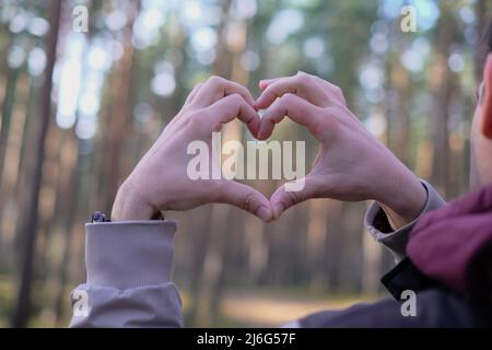 Die Hände von Mans wurden zu einem Herzen zusammengefaltet, das Liebe und Gefühle vor dem Hintergrund einer Waldlandschaft symbolisiert. Romantikkonzept Stockfoto