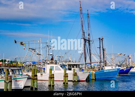 Die Boote werden in Pass Christian Harbour, 24. April 2022, in Pass Christian, Mississippi, angedockt. Stockfoto