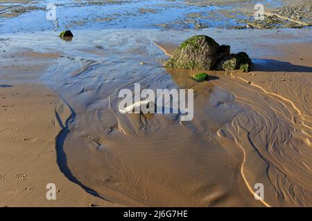 Felsen am Strand von Cap Blanc-Nez (Opalküste) in Pas-de-Calais, Frankreich Stockfoto