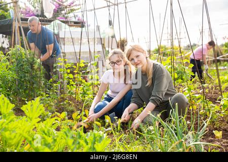 Teenage-Mädchen helfen Mutter Arbeit im Gemüsegarten Stockfoto