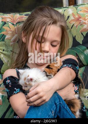 Das junge Mädchen hält draußen ein Paar entzückende Kätzchen auf ihrem Schoß Stockfoto