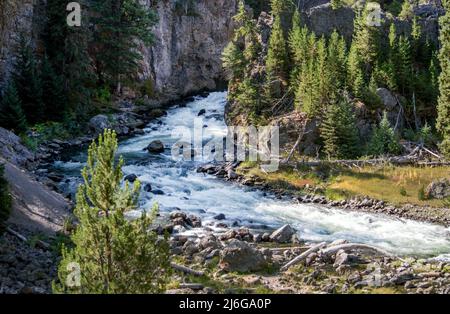 Wütende Flüsse rasen durch den Yellowstone Nationalpark in Wyoming USA Stockfoto