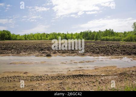 Überschwemmtes und schlammiges Agrarfeld nach starken Regenfällen im Frühjahr. Stockfoto