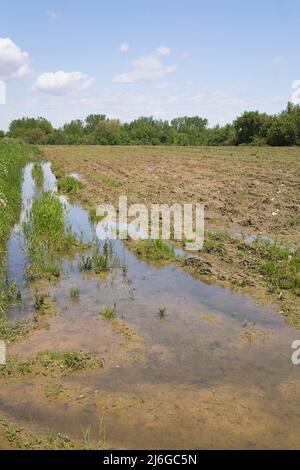 Überschwemmtes und schlammiges Agrarfeld nach starken Regenfällen im Frühjahr. Stockfoto