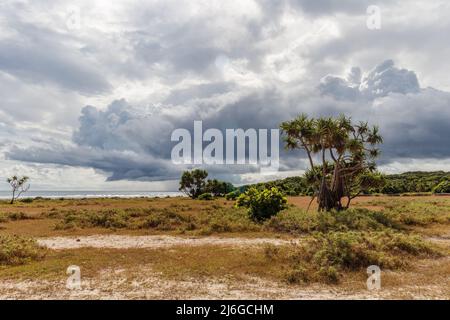 Savannenlandschaft mit stürmischen Wolken am Boa Beach auf der Roten Insel, Ostnusa Tenggara Provinz, Indonesien Stockfoto