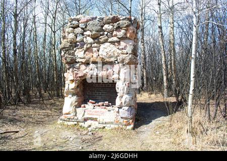 Der alte Stein- und Ziegelkamin bleibt im Wald von einem alten Ranch House. Stockfoto