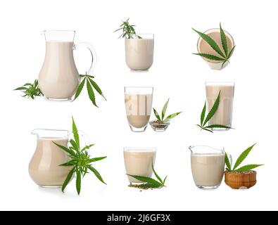 Set aus Gläsern und Krügen mit gesunder Hanfmilch auf weißem Hintergrund Stockfoto