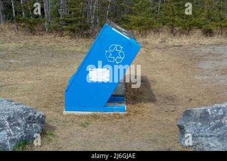 Bär und Wildlife Proof Müll- und Recycling-Entsorgungsbox in Parks Area Stockfoto