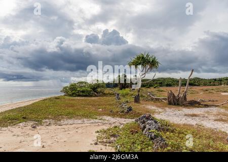 Savannenlandschaft mit stürmischen Wolken am Boa Beach auf der Roten Insel, Ostnusa Tenggara Provinz, Indonesien. Stockfoto