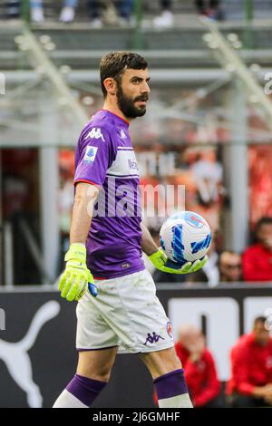 Mailand, Italien. 01.. Mai 2022. Pietro Terracciano während des Fußballmatches der italienischen Serie A zwischen AC Mailand und AC Fiorentina im Stadio Giuseppe Meazza in San Siro, Mailand, Italien am 01,2022. Mai Quelle: Live Media Publishing Group/Alamy Live News Stockfoto