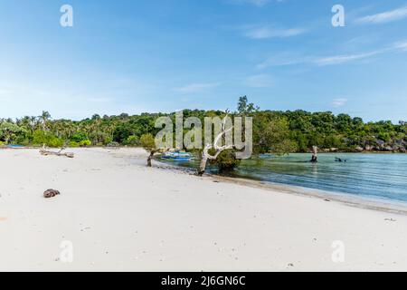 Mangrovenwald auf der Roten Insel, Ostnusa Tenggara Provinz, Indonesien Stockfoto