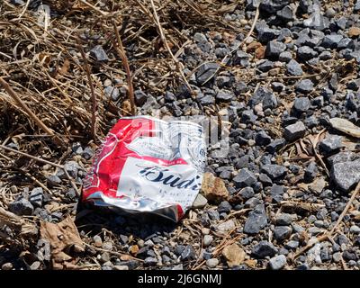 Leere zerkleinerte Dose Budweiser Bier auf dem Boden. Quebec, Kanada Stockfoto