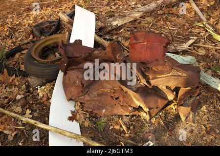 Müllabfuhr im Wald, bestehend aus rostigem Metalleimer, Blech, Siding und Reifen Stockfoto