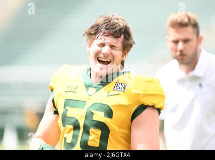 April 23 2022: Baylor trägt den Linienbucher Braden Strauss (56) vor dem NCAA Spring Scrimmage Football-Spiel im McLane Stadium in Waco, Texas. Matthew Lynch/CSM Stockfoto