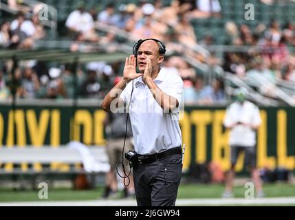 April 23 2022: Baylor trägt Cheftrainer Dave Aranda während des NCAA Spring Scrimmage Football-Spiels im McLane Stadium in Waco, Texas. Matthew Lynch/CSM Stockfoto