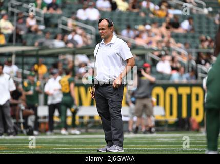 April 23 2022: Baylor trägt Cheftrainer Dave Aranda während des NCAA Spring Scrimmage Football-Spiels im McLane Stadium in Waco, Texas. Matthew Lynch/CSM Stockfoto