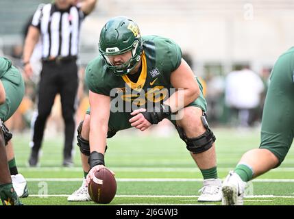 April 23 2022: Baylor bears offensive Lineman Jacob Gall (66) macht sich bereit, den Ball beim NCAA Spring Scrimmage Football-Spiel im McLane Stadium in Waco, Texas, zu schnappen. Matthew Lynch/CSM Stockfoto