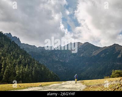 Rückansicht des asiatischen Wanderreisenden Rucksacktouristen, der auf einer unbefestigten Straße in Richtung Berge und Wald geht Stockfoto