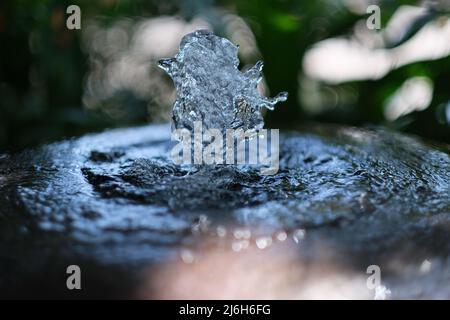Ein kleiner Brunnen vor dem verschwommenen Hintergrund eines üppigen grünen Laubes Stockfoto